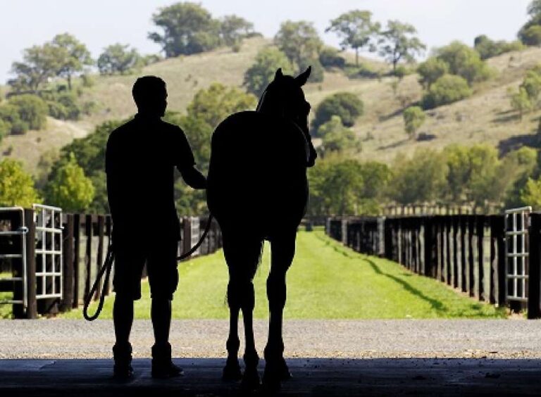 jockey-with-horse